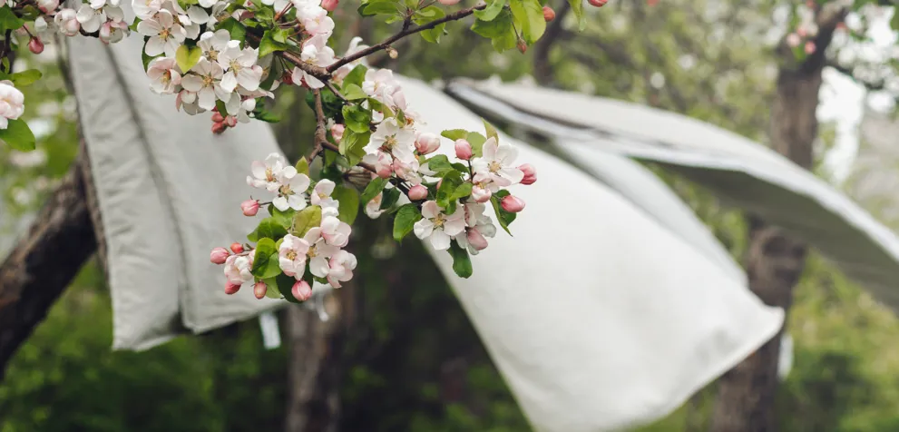 Linens In Floral Trees 1920X650